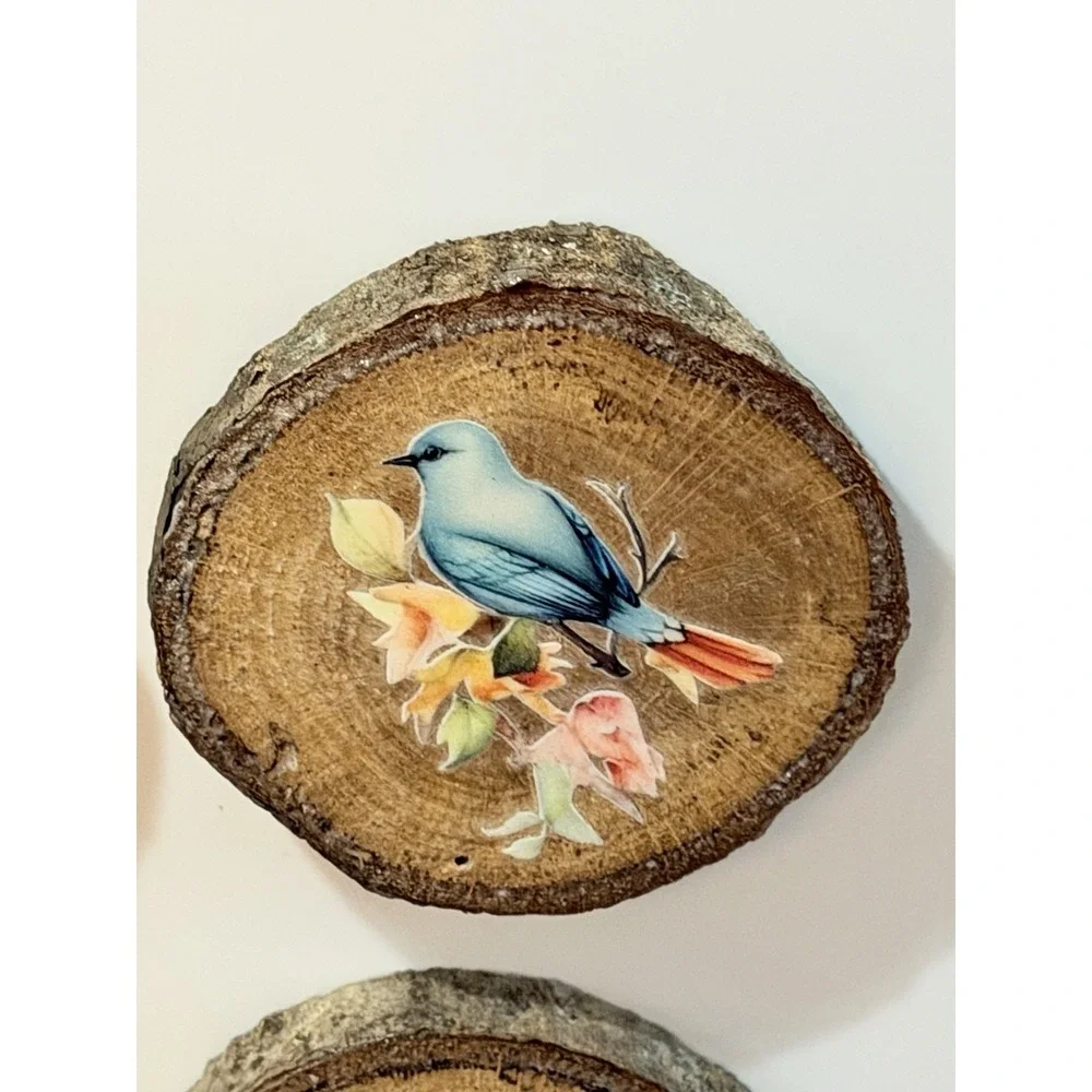 Set Of 4 Natural Oak Wood Bark Bird Magnets